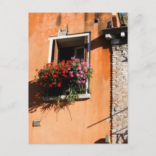 Carte Postale Fleurs de fenêtre (Devant)