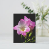 Carte Postale fleurs de freesia de printemps (Debout devant)