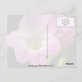 Carte Postale fleurs de freesia de printemps (Dos)