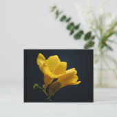 Carte postale Fleurs de Freesia Jaune (Debout devant)