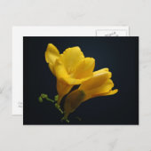 Carte postale Fleurs de Freesia Jaune (Devant / Derrière)