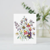 Carte Postale Fleurs de fringes et Fleurs de trompette de velour (Debout devant)