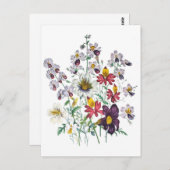 Carte Postale Fleurs de fringes et Fleurs de trompette de velour (Devant / Derrière)
