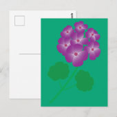 Carte Postale Fleurs de géranium (Devant / Derrière)