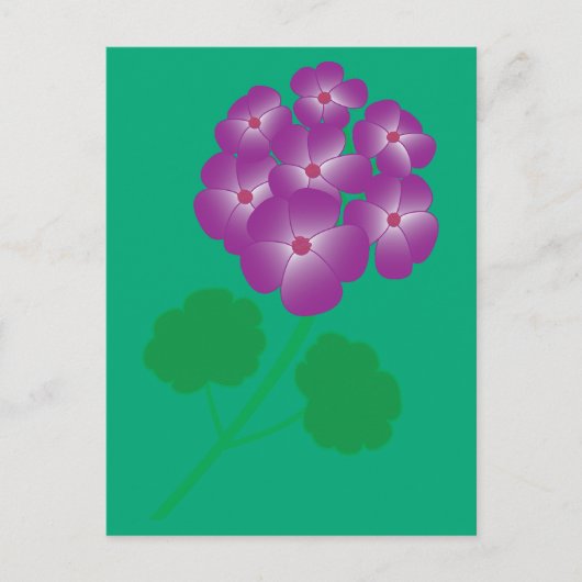 Carte Postale Fleurs de géranium (Devant)