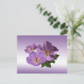 Carte Postale Fleurs de géranium violet (Debout devant)