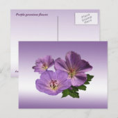 Carte Postale Fleurs de géranium violet (Devant / Derrière)
