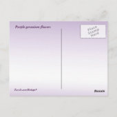 Carte Postale Fleurs de géranium violet (Dos)