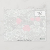 Carte Postale Fleurs de géranium zonal (Pelargonium Hortorum) (Dos)