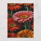 Carte Postale fleurs de gerbera (Devant)