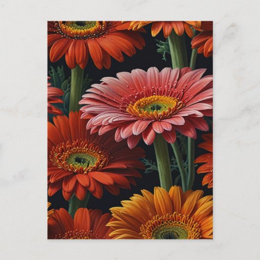 Carte Postale fleurs de gerbera (Devant)
