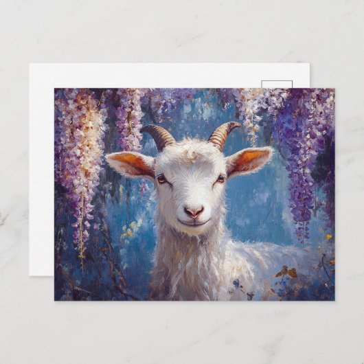 Carte Postale Fleurs de glycine chèvre et violet (Devant / Derrière)