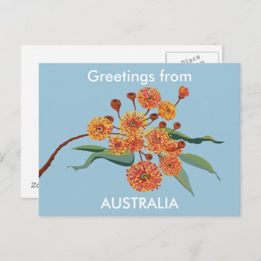 Carte Postale Fleurs de gomme australienne (Devant / Derrière)