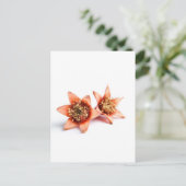 Carte Postale Fleurs de grenade (Debout devant)