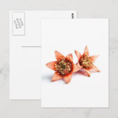 Carte Postale Fleurs de grenade (Devant / Derrière)
