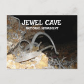 Carte Postale Fleurs de gypse, Monument National de Jewel Cave,  (Devant)