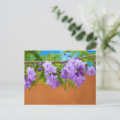 Carte Postale Fleurs de jacaranda violettes (Debout devant)