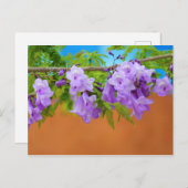 Carte Postale Fleurs de jacaranda violettes (Devant / Derrière)