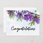 Carte Postale Fleurs de Jacaranda Violettes Félicitations (Devant / Derrière)