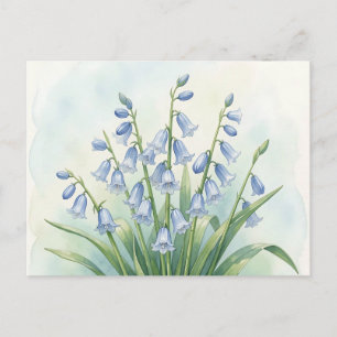 Carte Postale Fleurs de Jacinthe Botanique Aquarelle