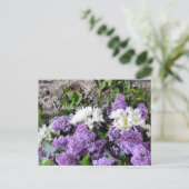 CARTE POSTALE FLEURS DE JARDIN (Debout devant)