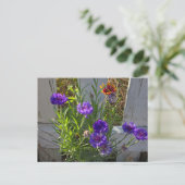 Carte Postale Fleurs de jardin (Debout devant)
