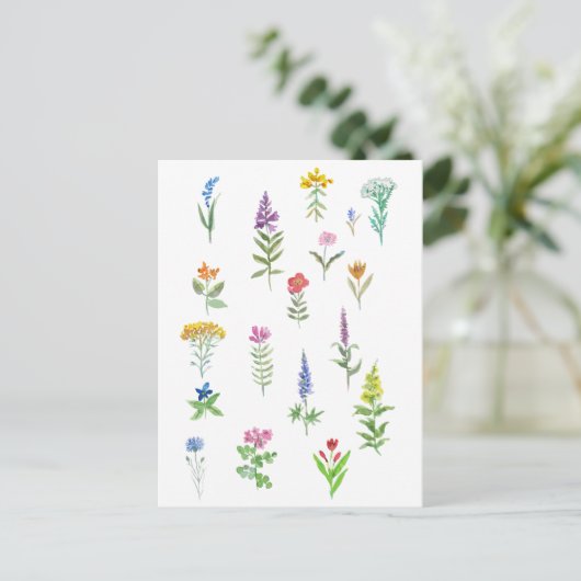 Carte Postale fleurs de jardin (Debout devant)