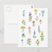 Carte Postale fleurs de jardin (Devant / Derrière)