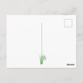 Carte Postale fleurs de jardin (Dos)