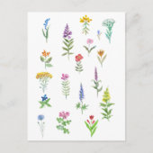 Carte Postale fleurs de jardin (Devant)