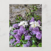 CARTE POSTALE FLEURS DE JARDIN (Devant)