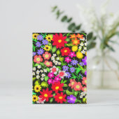 Carte postale Fleurs de Jardin colorées (Debout devant)