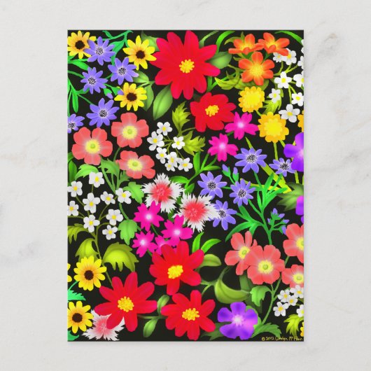 Carte postale Fleurs de Jardin colorées (Devant)