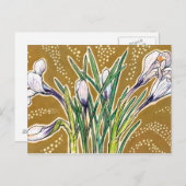 Carte Postale Fleurs de jardin de crocus blancs Art botanique fl (Devant / Derrière)