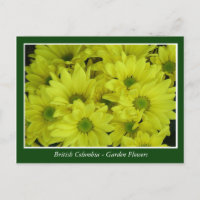 fleurs de jardin de la Colombie-Britannique