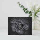 Carte Postale Fleurs De jardin En Noir Et Blanc No 108 (Debout devant)