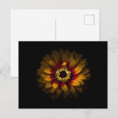 Carte Postale Fleurs de Jardin No 69 Version Couleur (Devant / Derrière)
