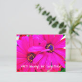 Carte Postale Fleurs de jardin violet brillant Osteospermum (Debout devant)