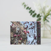 Carte Postale fleurs de Jersey (Debout devant)