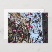 Carte Postale fleurs de Jersey (Devant / Derrière)