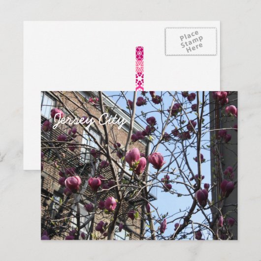 Carte Postale fleurs de Jersey (Devant / Derrière)