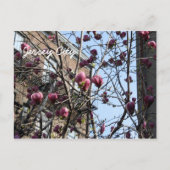 Carte Postale fleurs de Jersey (Devant)