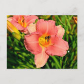 Carte Postale Fleurs de jour vibrantes (Devant)