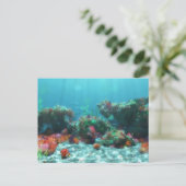 Carte postale Fleurs de la mer (Debout devant)
