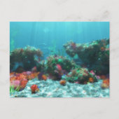 Carte postale Fleurs de la mer (Devant)