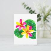 Carte Postale Fleurs de la Plumeria tropicale (Debout devant)