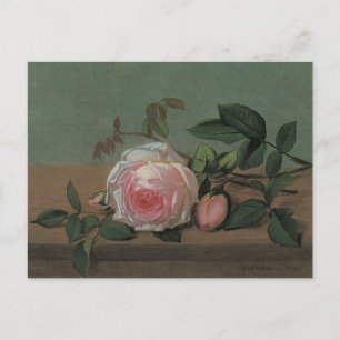 Carte Postale Fleurs de la vie morte sur une haie par Otto Ottes