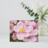 Carte Postale Fleurs de l'anémone japonaise (Debout devant)