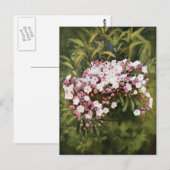 Carte Postale Fleurs de laurier de montagne (Devant / Derrière)