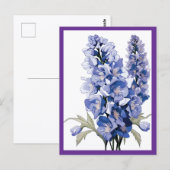CARTE POSTALE FLEURS DE LAVANDE #1 (Devant / Derrière)